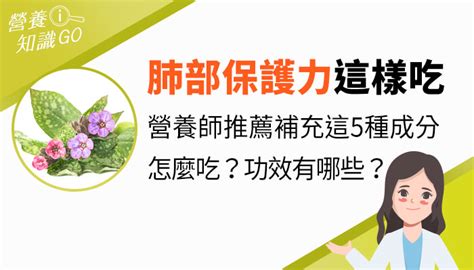 療肺草禁忌|療肺草是什麼？療肺草有用嗎？有助呼吸順暢、排出髒。